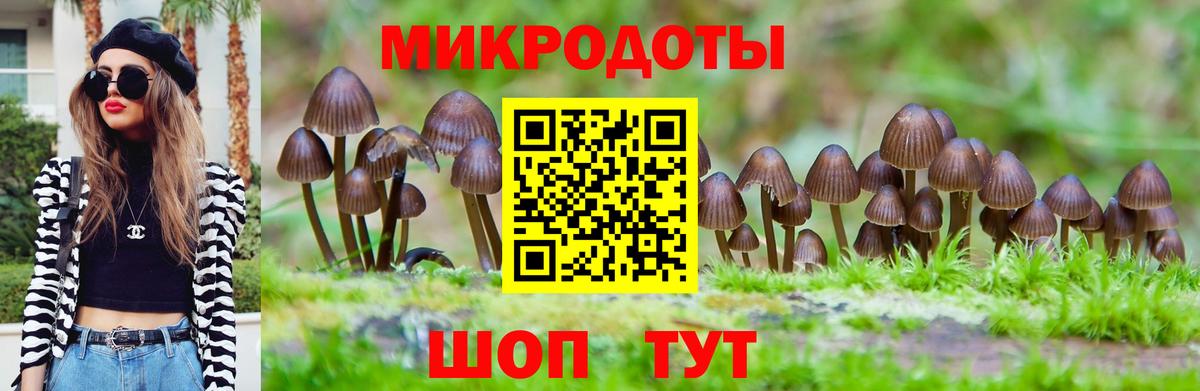 Славянск-на-Кубани  купить закладку  Вход с VPN  Псилоцибиновые грибы MAGIC MUSHROOMS 